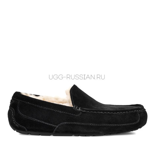 UGG MENS Ascot Black