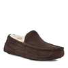 UGG MENS Ascot Chocolate