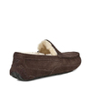 UGG MENS Ascot Chocolate