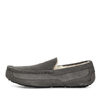 UGG MENS Ascot Grey