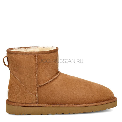 UGG MENS Classic Mini Chestnut