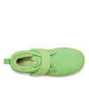 Neumel Clear Parakeet Green