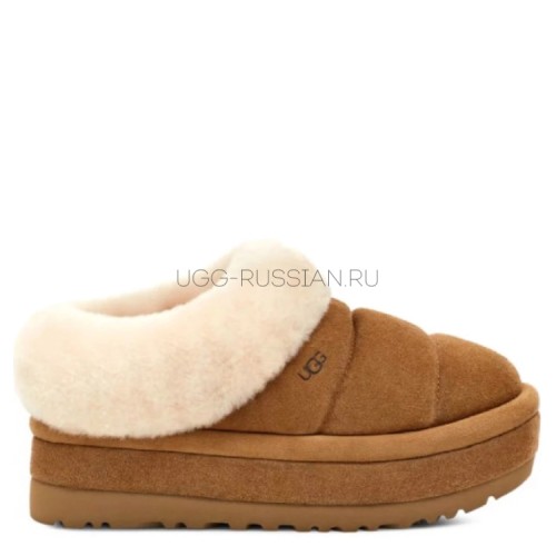 UGG Tazzlita Chestnut 