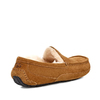 UGG Men's Ascot Chestnut