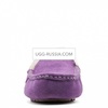 UGG Ansley Violet