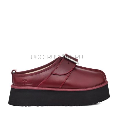 X Oc Tasman Oxblood